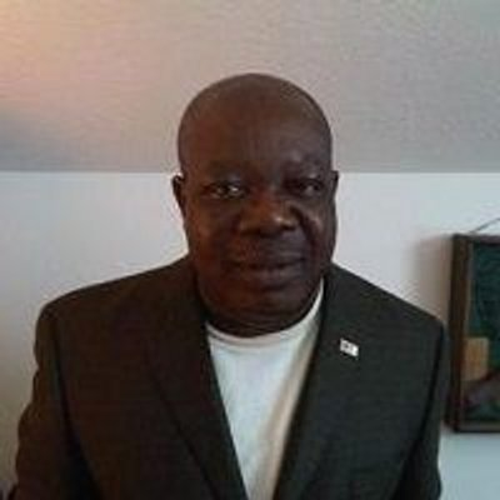 Adesegun A. Owolabi
